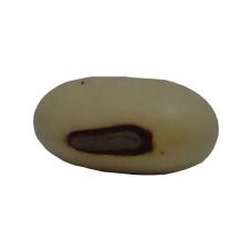 Fava de Oxal&aacute; UN