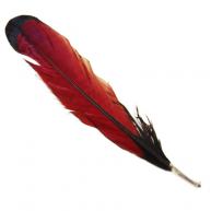 Aloko (Pena Vermelha) UN