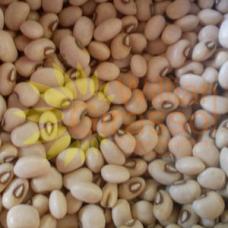 Feij&atilde;o Fradinho