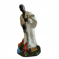 Iroco  ( Tempo ) 23 cm