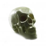 Cranio Caveira(Osso) Branco 20 CM