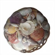 Kit De Concha N&ordm;5