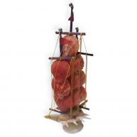 Barco De Conchas Laranja 32cm