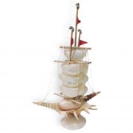 Barco De Conchas Transparente 30cm