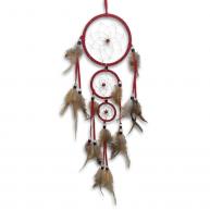 Filtro Dos Sonhos M&eacute;dio