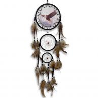 Filtro Dos Sonhos (Com Imagem De &Aacute;guia)