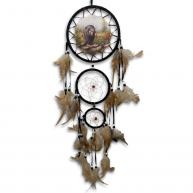 Filtro Dos Sonhos (Com Imagem De Urso)