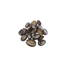 B&uacute;zios Preto Aberto Un