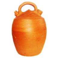 Moringa com Al&ccedil;a