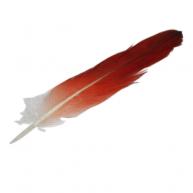 Ekodid&eacute; (Pena Vermelha) UN