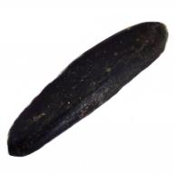 Fava de Ex&uacute; UN