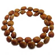 Guia Personalizada - Semente de Olho de Boi ( modelo 1 )